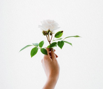 History, Purpose and Usage